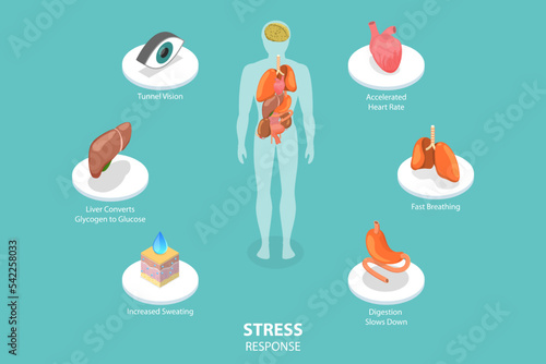 3D Isometric Flat Vector Conceptual Illustration of Stress Response, Fight or Flight Reaction