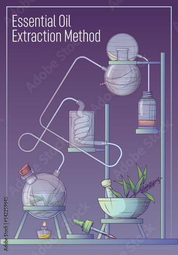 Vector illustration of making essential oil and flower water in chemistry laboratory. Mortar and pestle, glass bottle, flask. Cosmetic, perfumery, aromatherapy. 