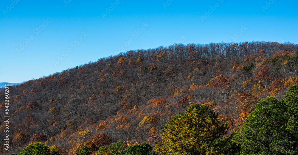 Autumn hills of the Shenandoah National Park