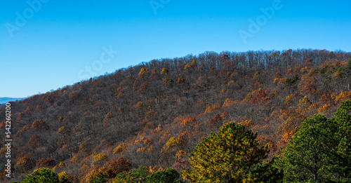 Autumn hills of the Shenandoah National Park