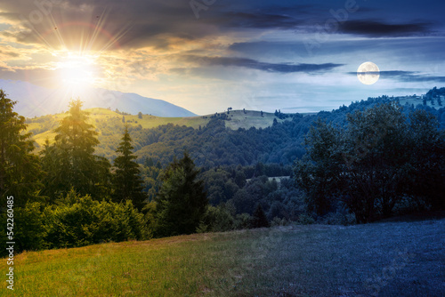 coniferous forest on the hill at daybreak. day and night time change concept. green summer nature scenery in carpathian mountains with sun and moon. sunny weather with clouds above the distant ridge © Pellinni