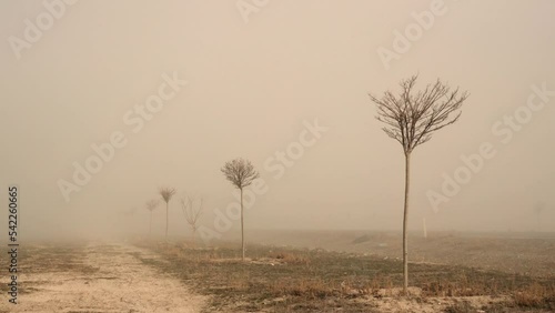 Strong winf and dust storm over dried out lands in Middle Anatolian region of Turkey.