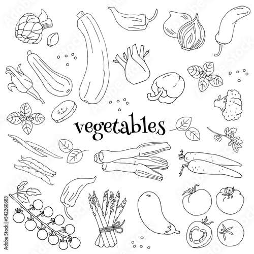 Mediterranean diet vegetable set black and white isolated on white background