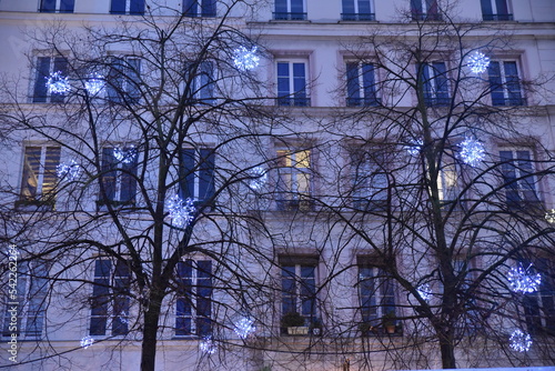 Arbres décorés à Noël