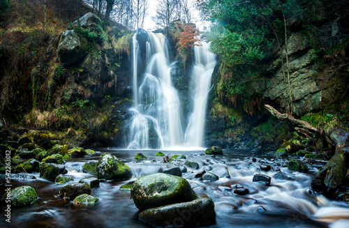 waterfall in the woods