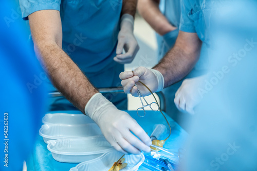Принти на полотні penis penile implant, penis enlargement surgery, balloon insertion inflation, pe