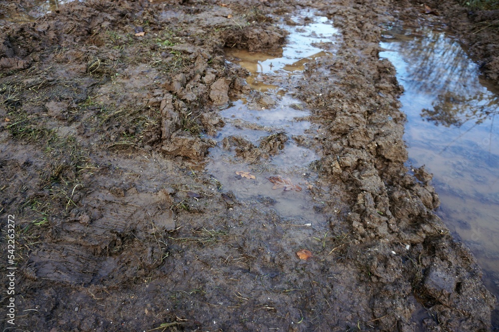 Braune Schlammlandschaft mit großen Wasserpfützen und Baumspiegelung am Morgen im Winter Braune Schlammlandschaft mit großen Wasserpfützen und Baumspiegelung am Morgen im Winter