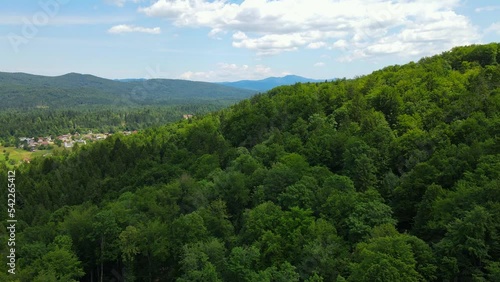 Valley and forest in Slovenia