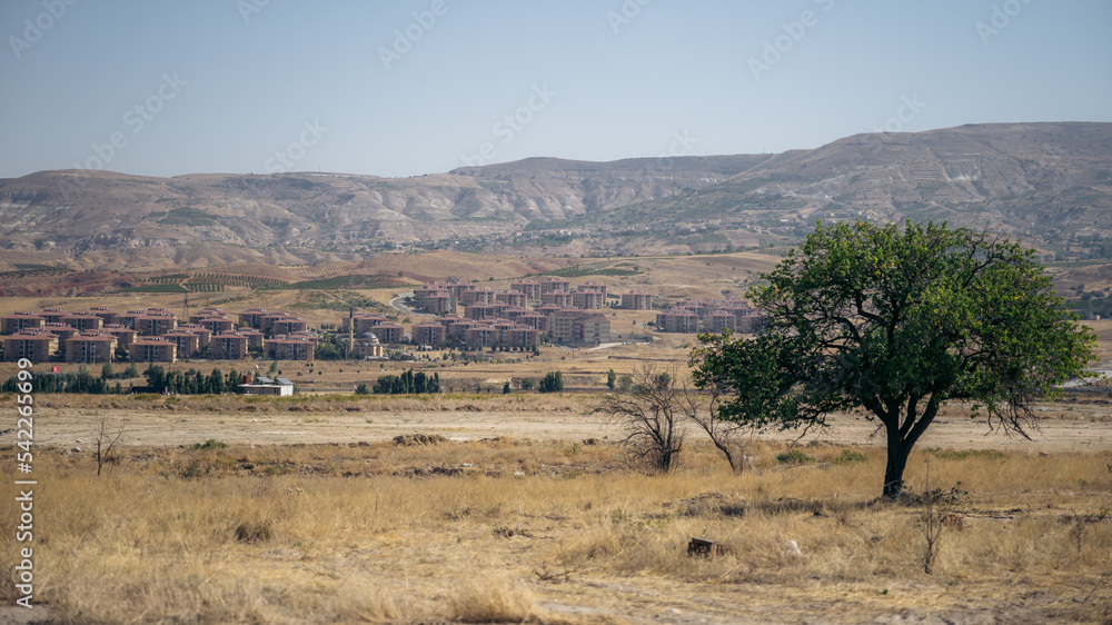 Panorama mit einem Baum in der Landschaft Panorama mit einem Baum in der Landschaft
