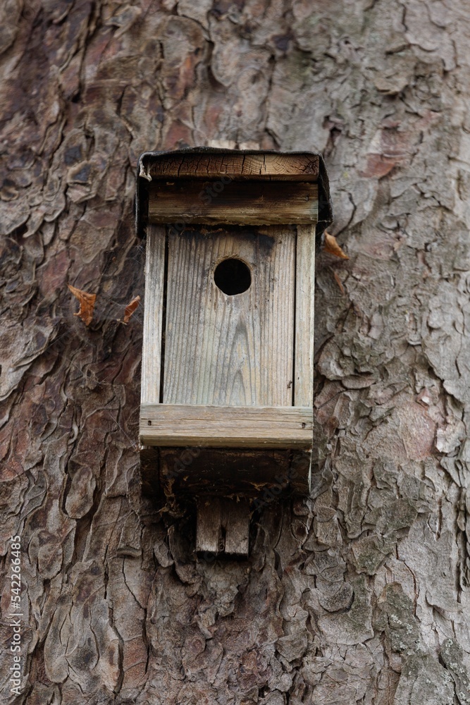 old bird house on a tree