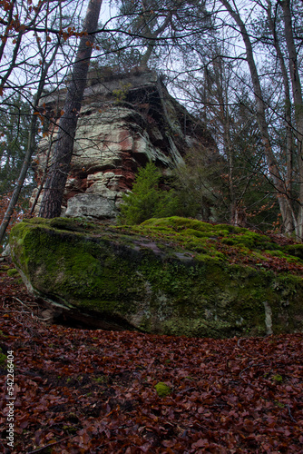 Rock covered in green moss in front of tall rock formation in the Palatinate Forest of Germany on a winter day. photo