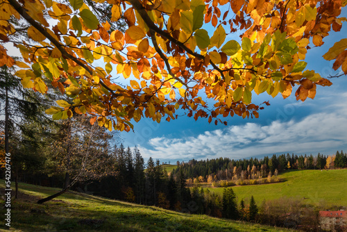 Widok na jesienne doliny w górach. Jesienna panorama z niebieskim niebem i zieloną doliną. Krajobrazy jesienne w Polsce. Ujęcie plenerowe. 
