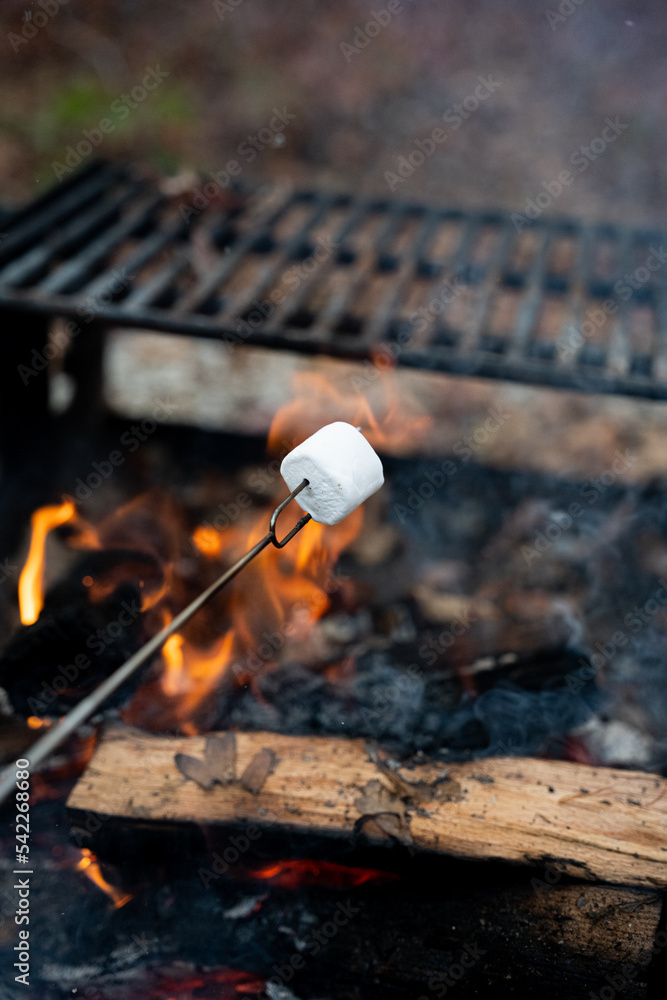 Toasting marshmallow on a stick over an outdoor fire Toasting marshmallow on a stick over an outdoor fire