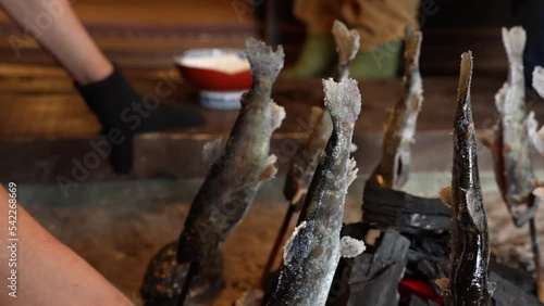 Wallpaper Mural grill fish Torontodigital.ca