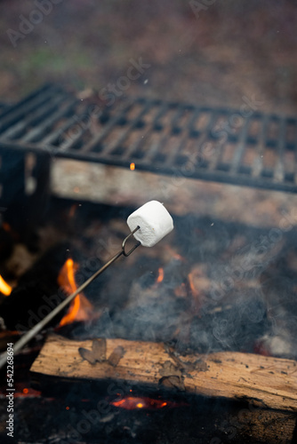Toasting marshmallow on a stick over an outdoor fire