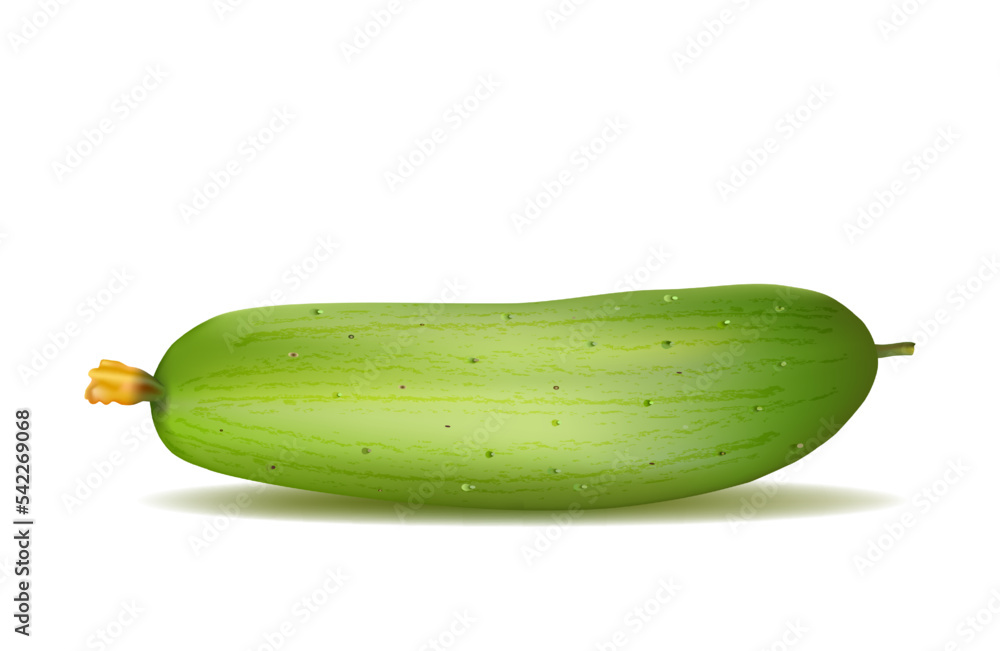 Cucumber is a vegetable as well as fresh healthy food and salad ingredient Cucumber is a vegetable as well as fresh healthy food and salad ingredient