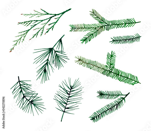 Waterclor hand drawn illustration set of evergreen conifers Christmas tree branches. Isolated on white background.