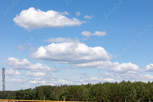 Forest and clouds in the blue sky. © Studiomiracle