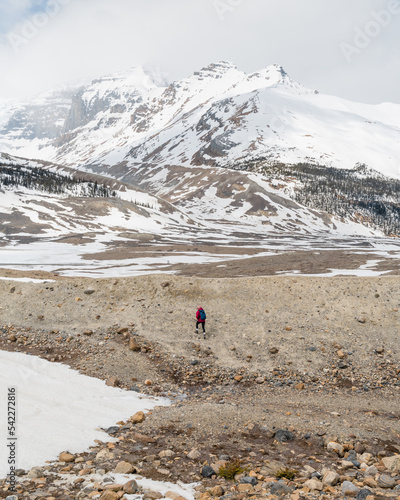 A hiker hiking towards the snowy mountains of the Columbia Icefields