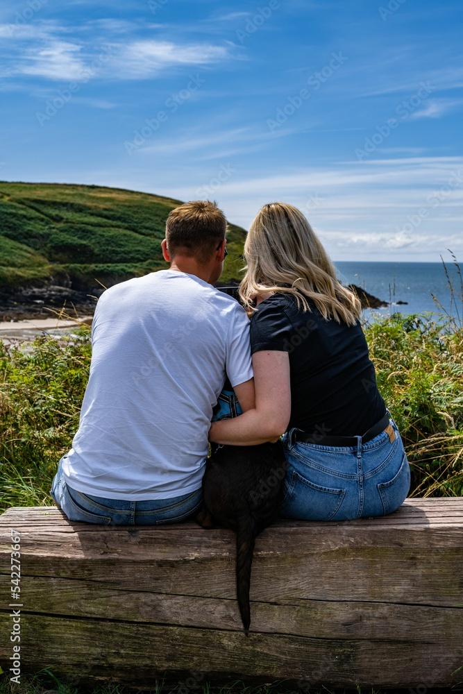 Vertical shot of a couple with a dog sitting on a wooden trunk by the ocean on a sunny day