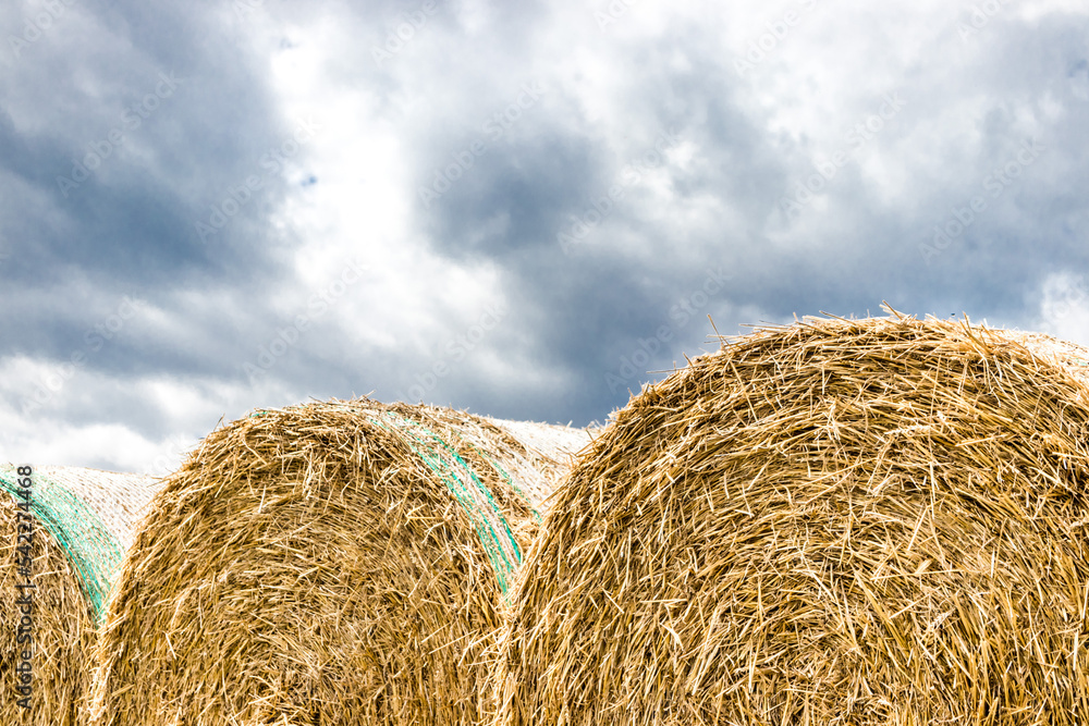 Heuballen mit dramatischem Himmel im Hintergrund