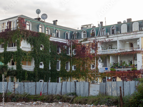   Streets of the southern city. Ivy on the building. Resort place. Streets of Batumi. House overgrown with greenery. Beautiful facade. Nature and architecture. photo