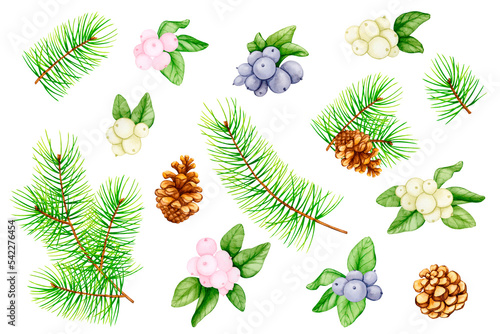 Big set of botanical elements for New Year and Christmas design. Pine branches, cones, snowberry, blue berries. Watercolor botanical illustration for package design, invitations, greeting cards.
