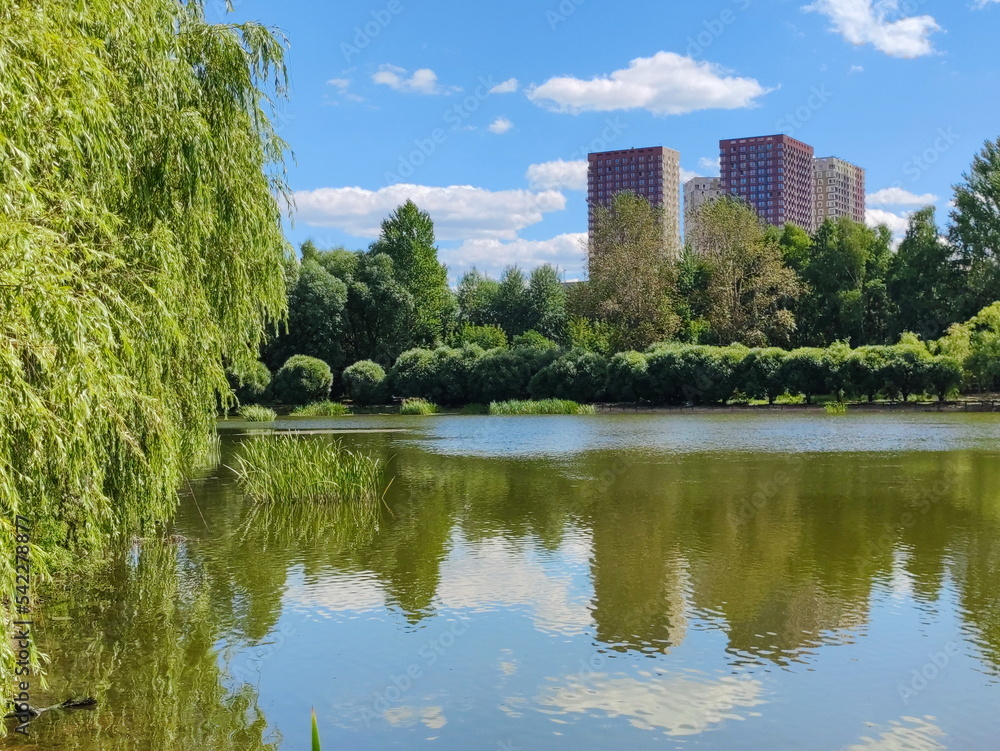 Summer landscape of Ivankovsky pond in the north of Moscow