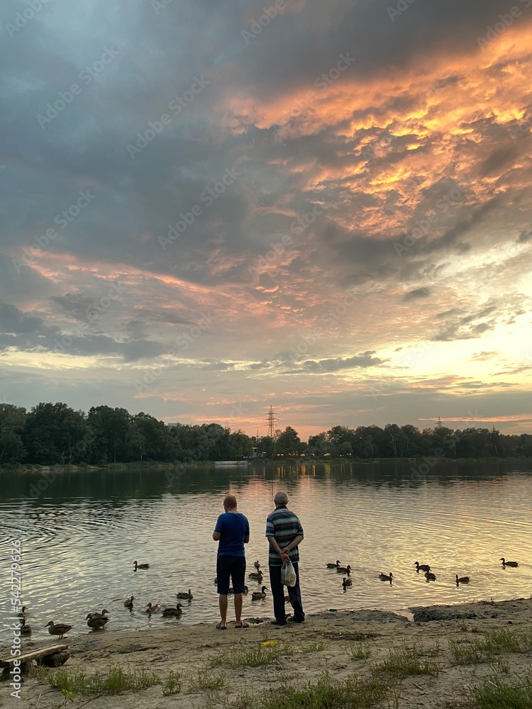 two men feed birds on the shore of a lake at sunset two men feed birds on the shore of a lake at sunset