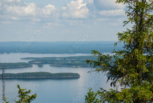 A summer view from Koli Finland to lake Pielinen with a spruce tree in front in focus. Good background photo with a copy space for text 