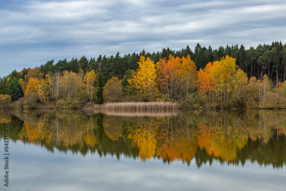 Forest lake in cloudy, autumn weather. Late fall. Europe.