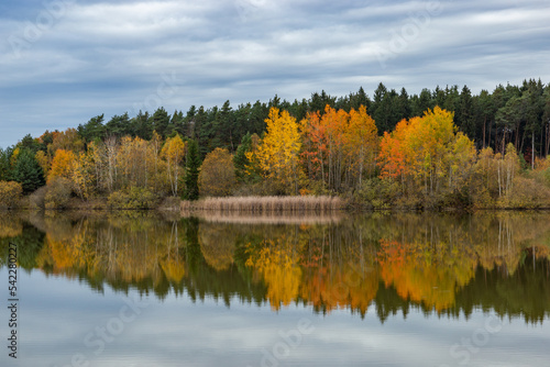 Forest lake in cloudy, autumn weather. Late fall. Europe.