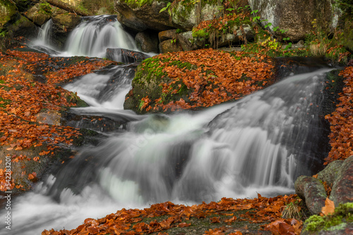 Cerna Desna creek in Jizerske mountains in autumn color morning