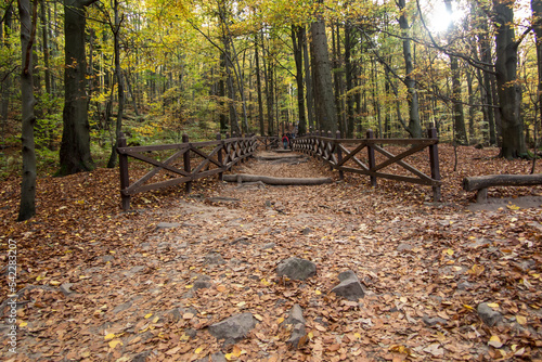 Tourist trail in the Jodłowa Primeval Forest, from Saint Catherine to Lysica, partly built as a boarded walkway photo