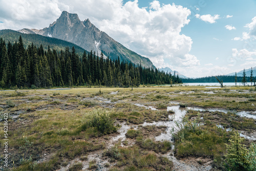 Photography river in the canadian rocky mountains