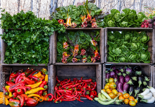 A colorful display of herbs and vegetables at an outdoor farmer's market.