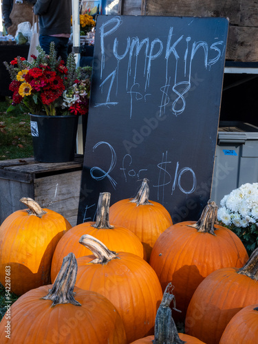 Pumpkins for sale at an outdoor farmer's market.
