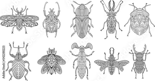 A collection of beetles and insects in a linear style. Linear vector illustration of beetles.