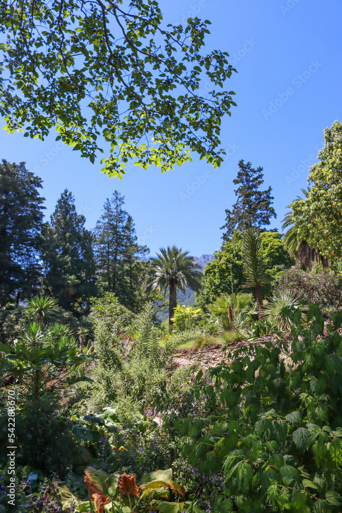 Botanischer Garten auf der Brissago Insel im Lago Maggiore Botanischer Garten auf der Brissago Insel im Lago Maggiore