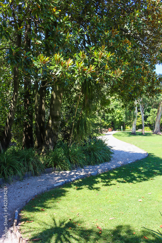 Botanischer Garten auf der Brissago Insel auf dem Lago Maggiore