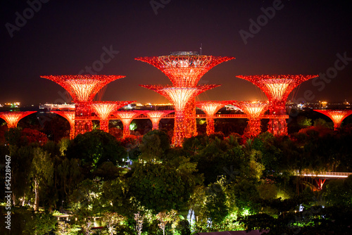 Supertree Grove at night - Gardens by the Bay, Singapore