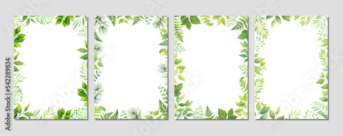 Frame with green leafs. Floral cards set with place for text. Greenery borders with different leaves. Vector illustration.