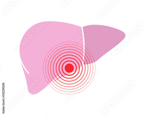 Human liver pain symbol. Liver ache icon. Vector illustration. Human body ache pain dot