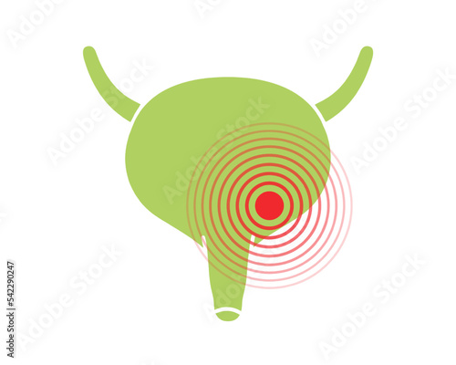 Human bladder pain symbol. Bladder ache icon. Vector illustration. Human body ache pain dot