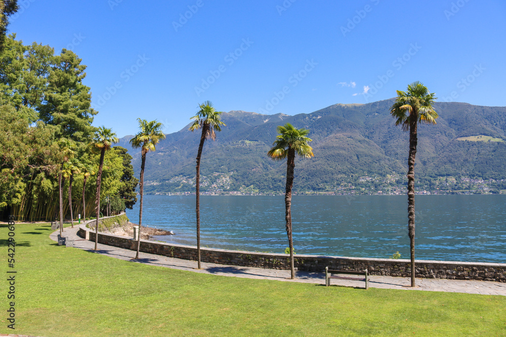 Botanischer Garten auf den Brissago Inseln auf dem Lago Maggiore Stock