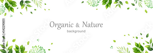 Green leaves horizontal banner. Hand drawn plants, branches, leaves on white background. Natural card or frame. Watercolor style card. Vector illustration.