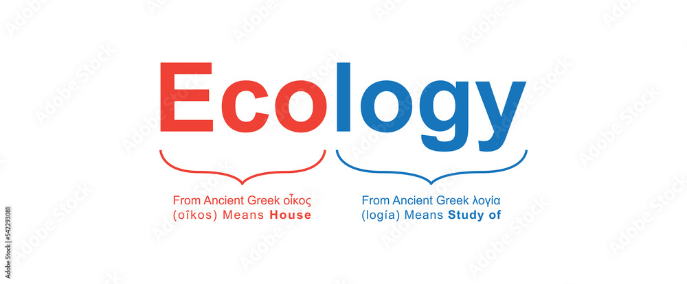 Ecology Meaning Concept Design. Vector Illustration.