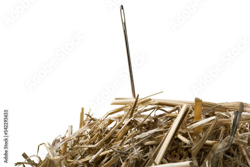 Obraz na plátně Close-up of a Needle in a Hay