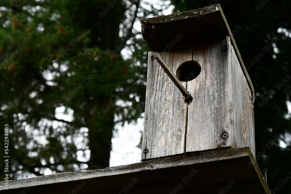 A close up image of an old weathered birdhouse no longer used by birds. A close up image of an old weathered birdhouse no longer used by birds.