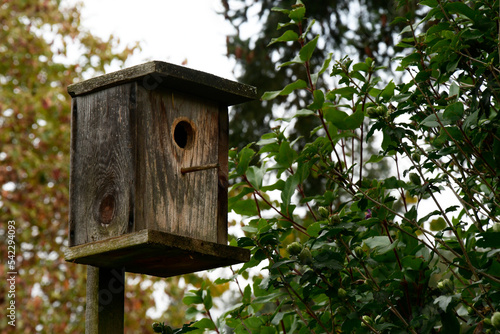 Old handmade bird house faded and rotting from the outdoor weather. 